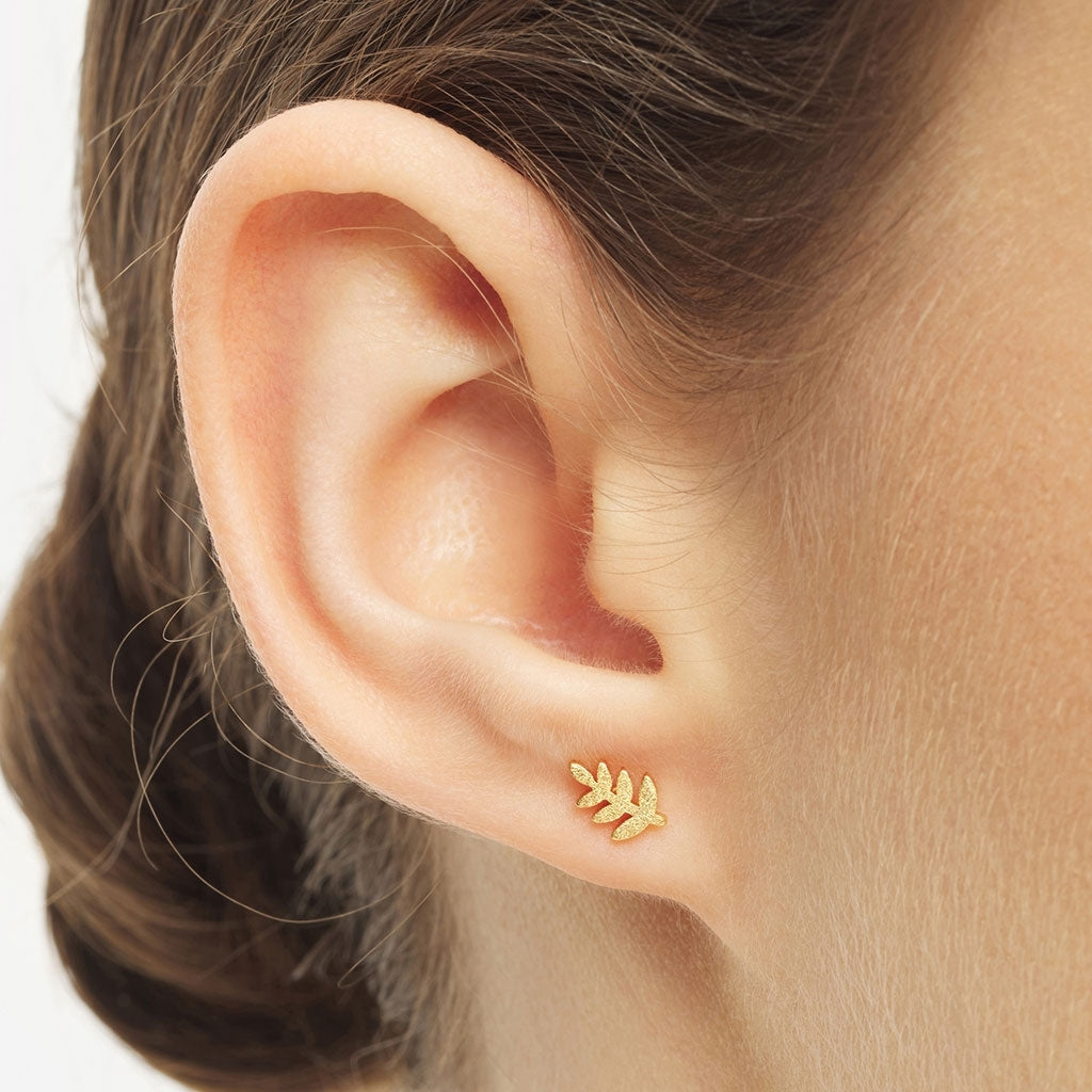 LULU Copenhagen Olive Branch 1 pièce Ear stud, 1 pcs Gold Plated