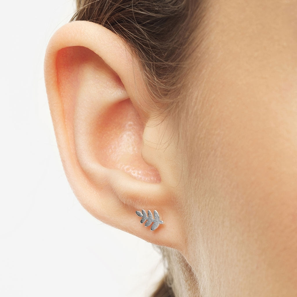 LULU Copenhagen Olive Branch 1 pièce Ear stud, 1 pcs Silver Plated
